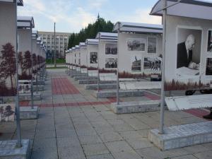 Уличная выставка на проспекте Коптюга сможет стать частью Тропы науки