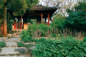 «Сад скромного чиновника» в Сучжоу в ста километрах от Шанхая
