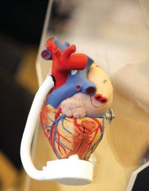 Макет разработанного в институте аппарата искусственного кровообращения изготовлен с помощью 3D-принтера