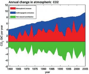 //skepticalscience.com/anthrocarbon-brief.html). Красным показан естественный атмосферный рост СО2, синим — антропогенные выбросы, и зеленым (в отрицательной шкале) — количество естественного СО2, поглощенного природными резервуарами