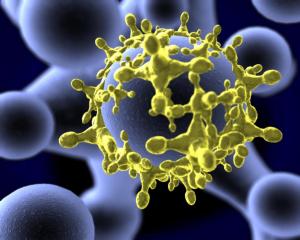 Уже сегодня в производстве новых наноматериалов используют вирусы