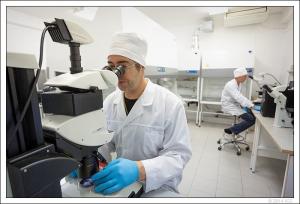 Лаборатория репродуктивных технологий SPF-вивария