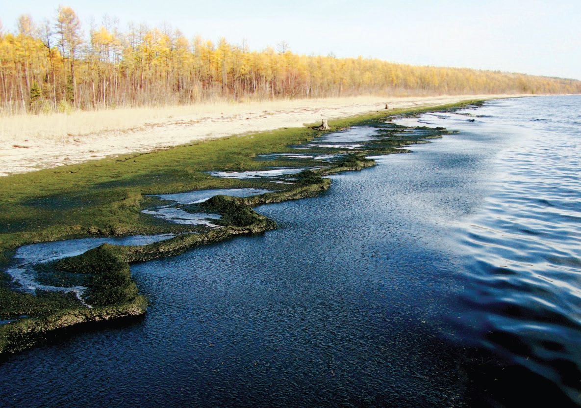 Загрязнение воды байкала. Экология Байкала. Загрязнение озера Байкал. Загрязнение реки Байкал-. Селенга загрязняет Байкал.