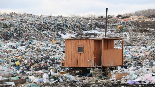 Новосибирские ученые представили на "ГорТехе" программу решения мусорной проблемы