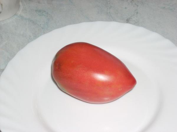 Новинка селекции СибНИИРС – томат Перцевидный малиновый – имеет шанс стать лучшим салатным сортом для наших дачников