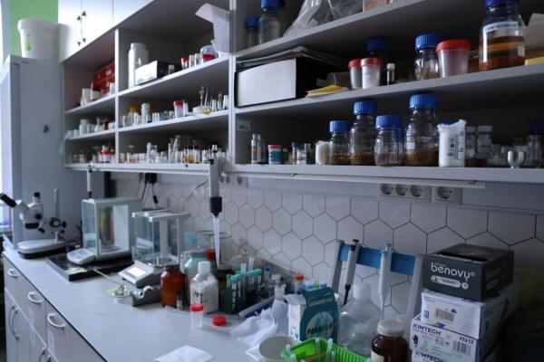 В НГУ создана лаборатория для кристаллизации биополимеров и их исследования на станции «Структурная диагностика» в ЦКП «СКИФ»