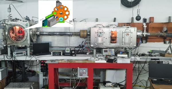 Земляника растет лучше благодаря биостимулятору на основе рисовой шелухи и зеленого чая