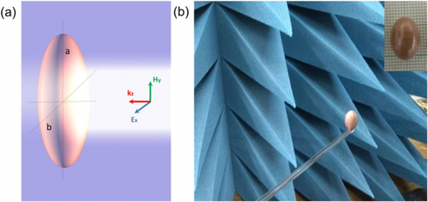 Открытие физиков поможет разработать высокочувствительные наноантенны и лазеры