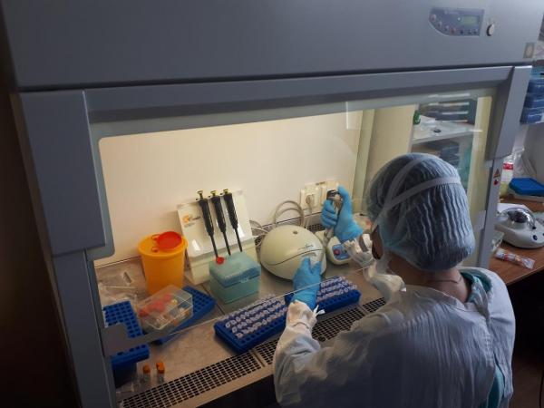 Сибирские ученые исследуют распространенность штаммов вирусов ОРВИ и гриппа