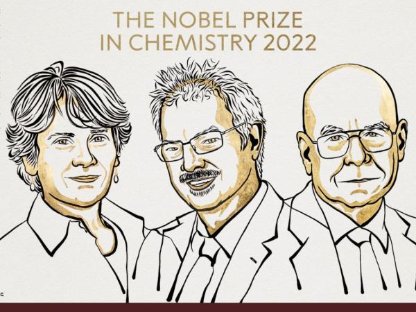 За что дали "Нобеля" по химии