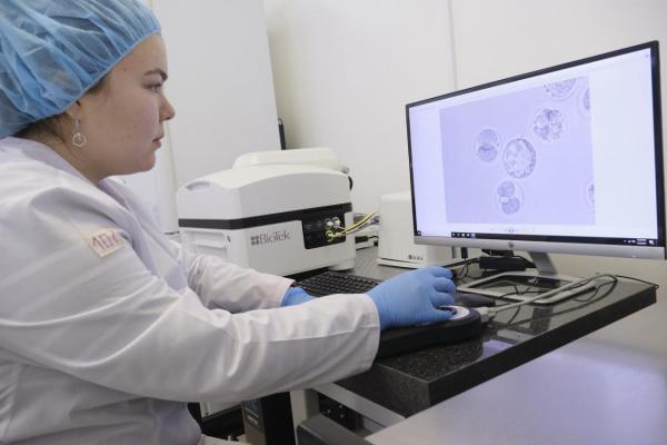 Систему наблюдения за эмбрионами получили ученые ИЦиГ