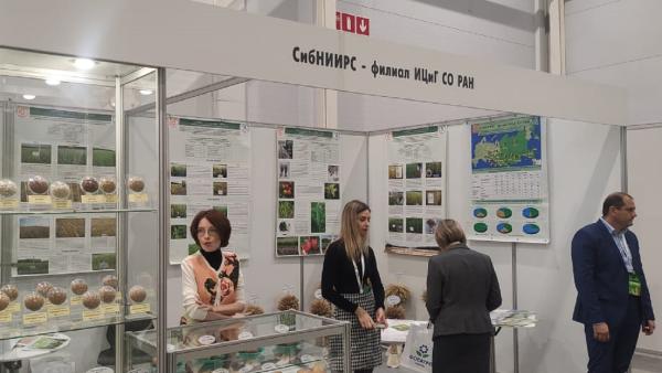 Инновационные разработки сибирских ученых и агротехнологов представлены на выставке «Сибирская аграрная неделя»