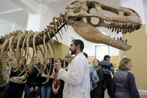 Ученые расширят поиски останков динозавров в Кузбассе