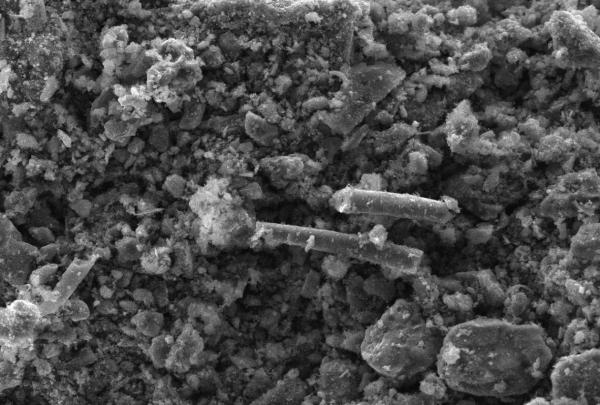 Микрофотография никелевого катализатора на основе углерод-минерального носителя из сапропеля