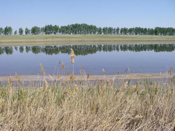 Что принесло изучение гиперсоленых озер Новосибирской области 