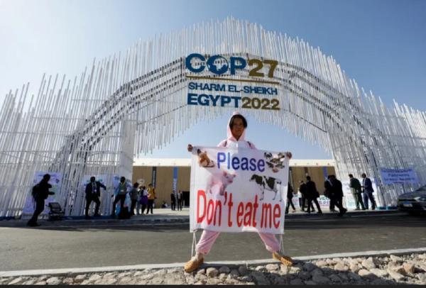 О главном итоге прошедшего саммита ООН COP-27
