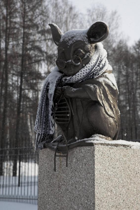 Памятник лабораторной мыши в Новосибирске