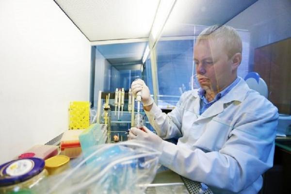 Сибирские учёные разработали антитела для диагностики грибковых заболеваний