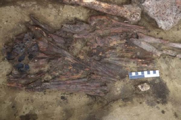 Археологи нашли в Новосибирской области необычный предмет из клювов птиц