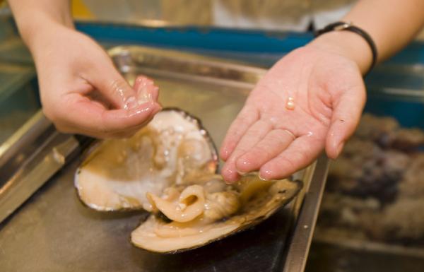 Изменение климата влияет на раковины моллюсков