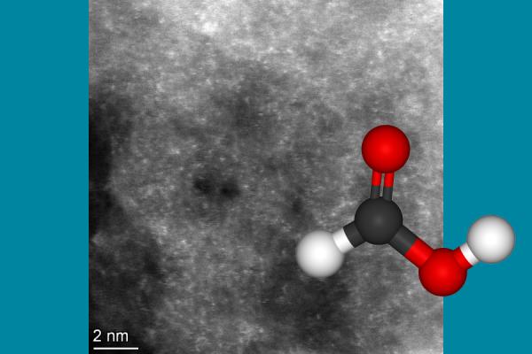 Российские и китайские ученые развивают низкотемпературное получение водорода из биомассы