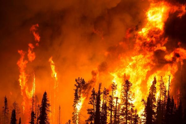 Ученые об естественных причинах лесных пожаров