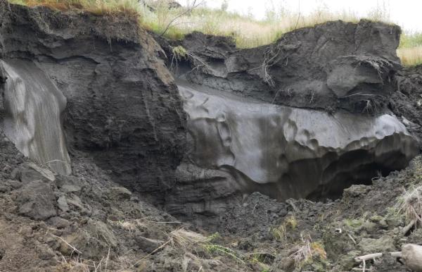 Ученые оценили опасность оживших бактерий из вечной мерзлоты