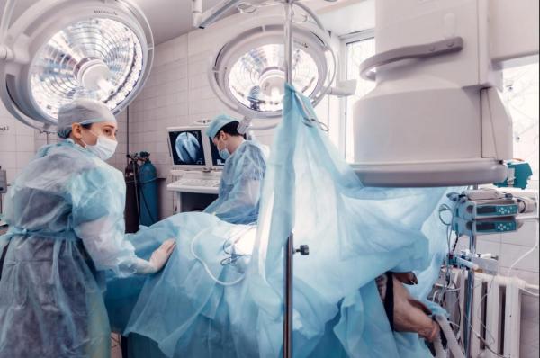 Первый в России самораскрывающийся клапан-содержащий протез легочной артерии прошел доклинические испытания