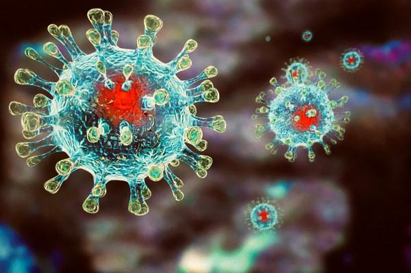 Новосибирские учёные продолжают работу по борьбе с коронавирусом