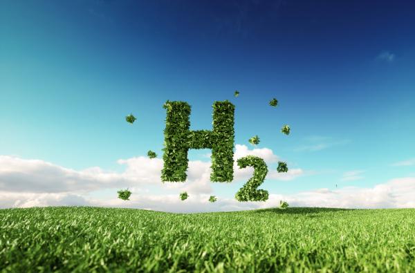 В США создают производство «возобновляемого» чистого водорода из органических отходов
