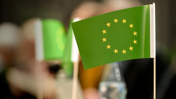 Европейские парламентарии начинают пересматривать идейные основы «зеленого курса»