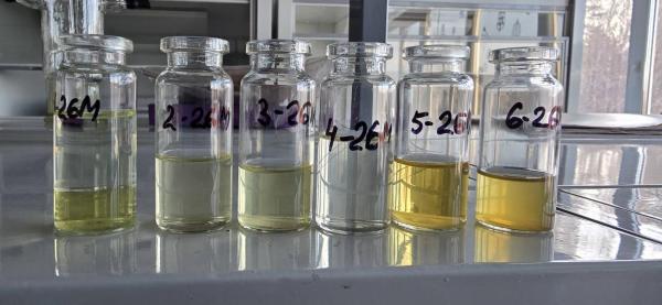 Томские ученые ведут мониторинг нефтяных загрязнений почв и водоемов Сибири