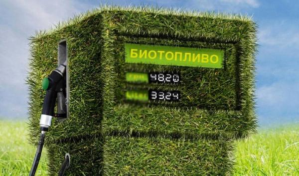 Западные ученые ставят под сомнение «зеленый» характер биоэнергетики
