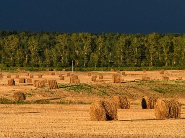 Об одном актуальном научном наследии Василия Докучаева