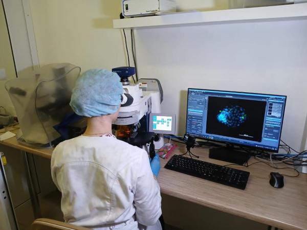 Сибирские ученые расширят опыты по выведению потомства из замороженных эмбрионов 
