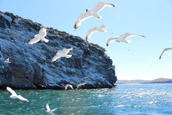 Сибирские участники проекта «Экодом» выстраивают коммуникации с официальными структурами