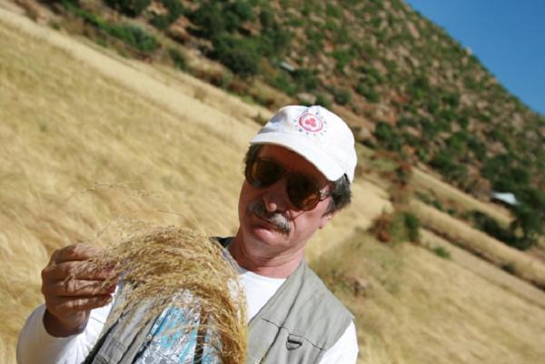 Н.П. Гончаров с собранным образцом тэффа - энднмичного эфиопского злака, которая только в этой стране используется как хлебная культура. Эфиопия, 2012