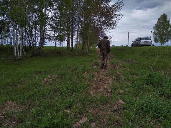 Вместе с коллегами из Беларуси ученые ИЦиГ СО РАН изучили генетическое многообразие дождевых червей, обитающих на территории этой страны