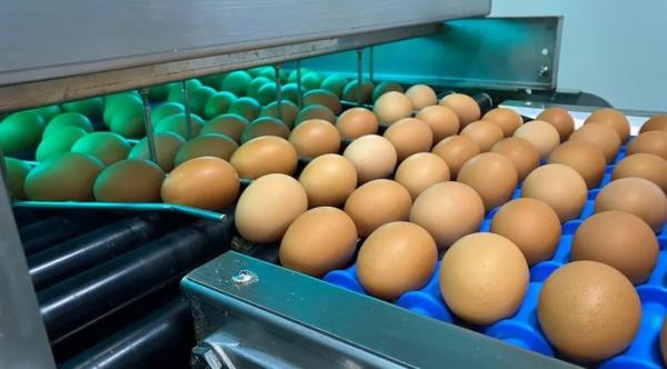 О забытой работе советских ученых по лучевой обработке пищевых продуктов