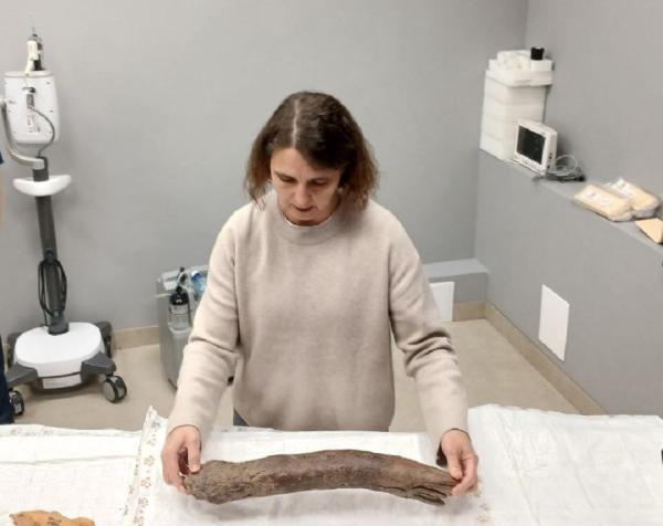 Ученые НГУ впервые в России осуществили томографическое сканирование дефектных бивней мамонтов