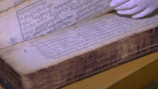 Ученые НГУ и ИМБТ СО РАН расшифровали 500 страниц древних тибетских рукописей