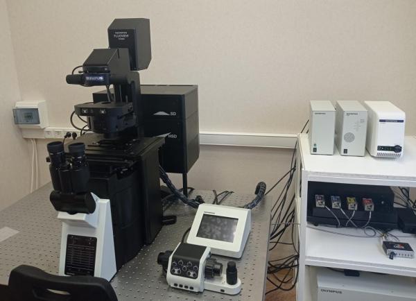 Новый микроскоп установили в ИЦиГ 