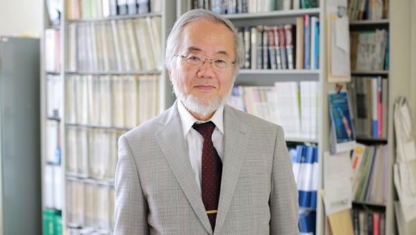 Японский биолог Есинори Осуми удостоен Нобелевской премии по физиологии и медицине за описание процесса аутофагии. Как старение и рак связаны с его открытиями? 