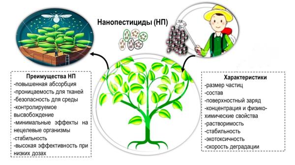 Ученые ИЦиГ СО РАН работают над альтернативой химическим пестицидам