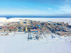 Академик Крюков настаивает на том, что ни одна компания, даже «Газпром», «Норникель» или «Роснефть» не сможет организовать отработку арктических месторождений в одиночку