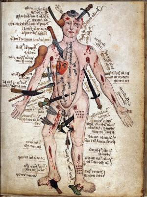 Иллюстрация из средневекового анатомического атласа, написанного на основе воззрений Галена