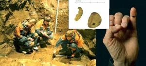 Ученые секвенировали геном денисовского человека по найденной фаланге пальца маленькой девочки