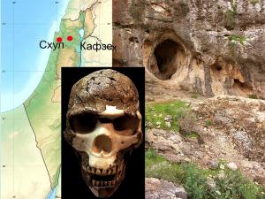 В 1930-е годы на территории Израиля (в пещерах Скул и Кавзех) были раскопаны места стоянок древних людей. Найденные там останки датированы возрастом в 80-120 тысяч лет