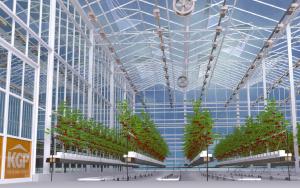 Промышленные голландские теплицы - KGP Greenhouses в Нидерландах