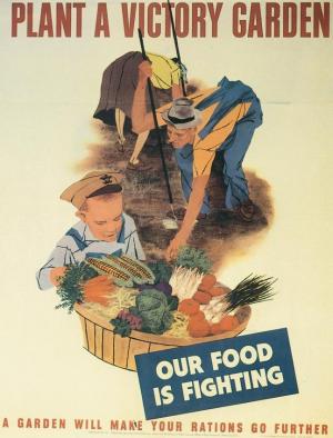 Во время Первой мировой войны был создан важный прецедент, связанный с решением проблемы продовольственной безопасности за счет мобилизации миллионов садоводов-любителей